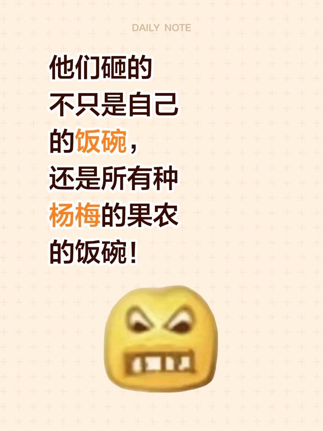 他们砸的不只是自己的饭碗，还是所有种杨梅的果农的饭碗！杨梅