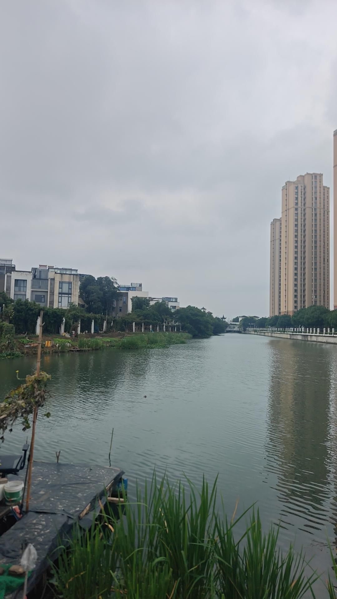 才七点多，群主刘晓庆就在群里呼唤：

都出来，都出来，遛娃去。

一呼百应。她是