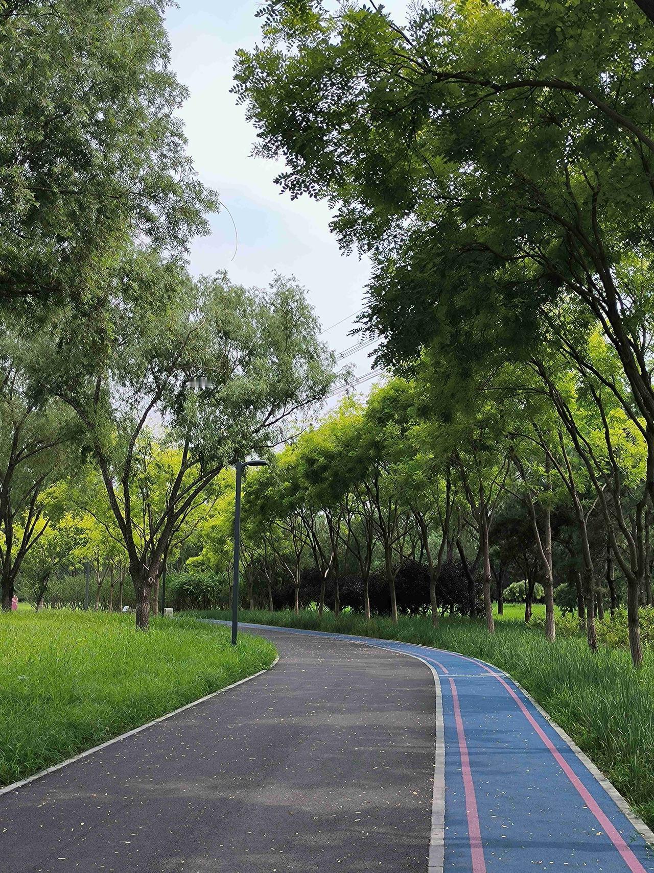 我的今日状态：🏃‍➡️运动
我这里的天气：☀️晴天