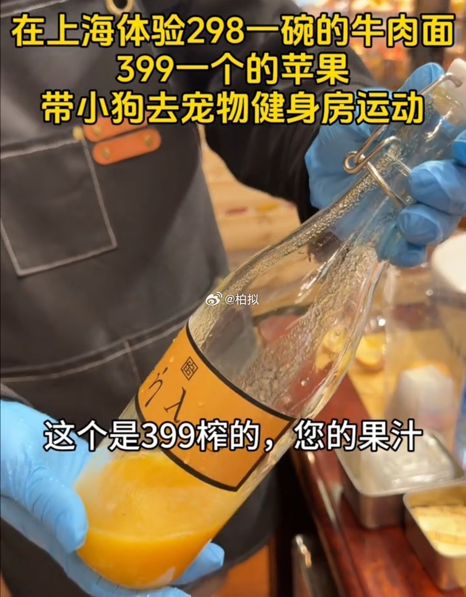 这是我了解上海的唯一途径 