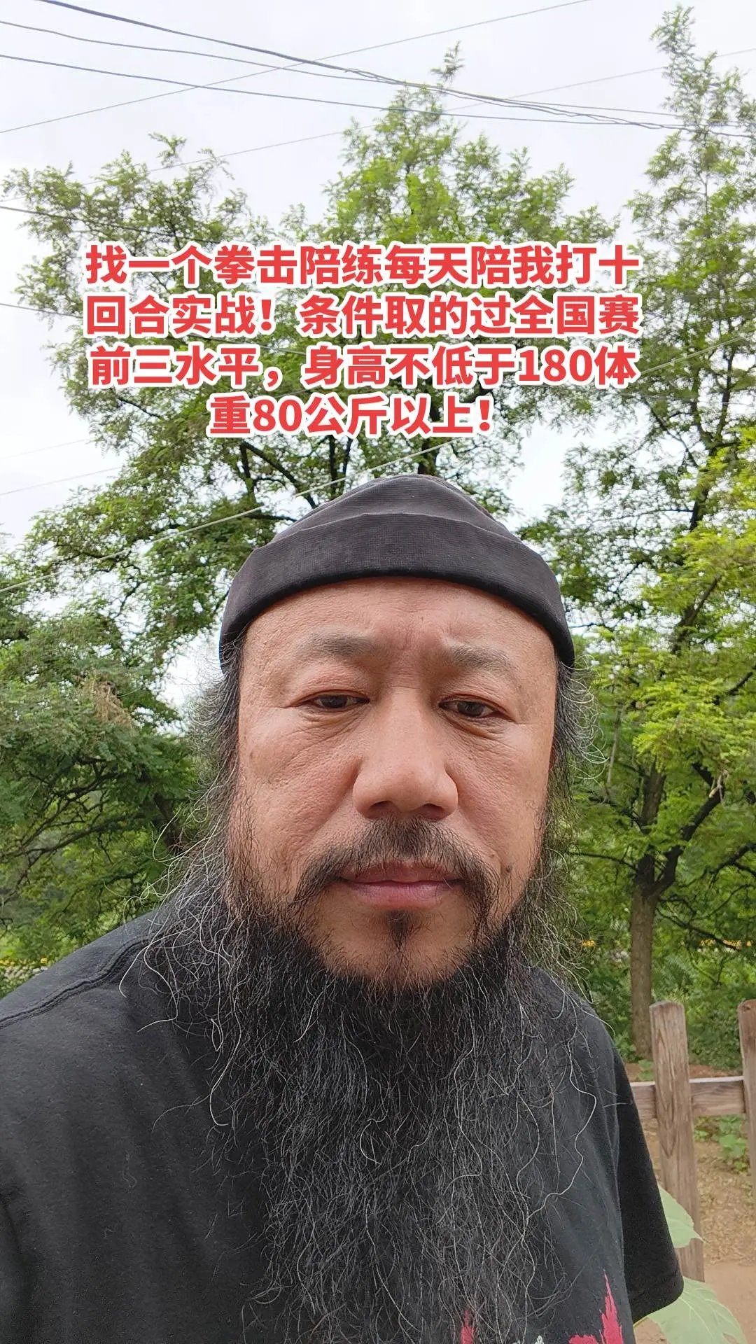 拳击实战