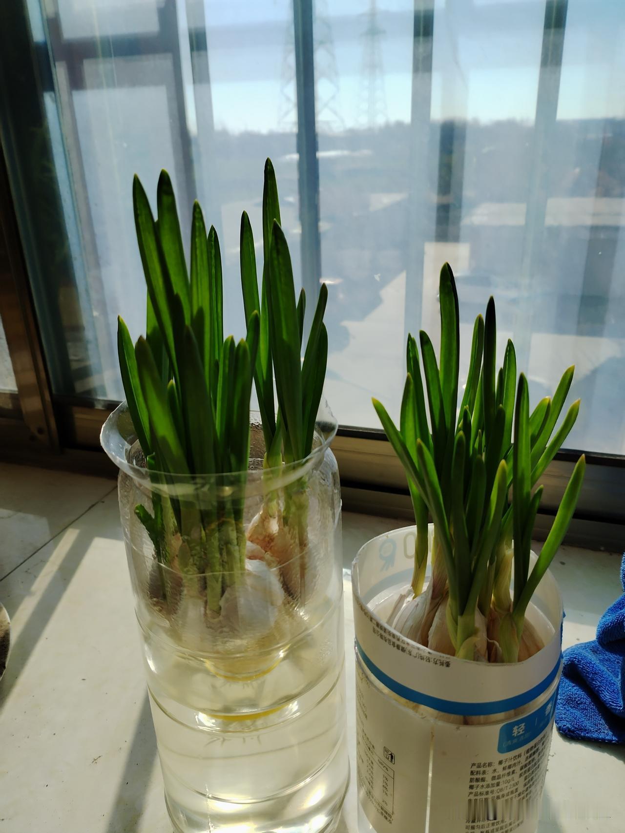 除了水
最解渴的当属淡盐水
凉白开泡柠檬，出汗多的时候喝口淡盐水，补电解质还解燥