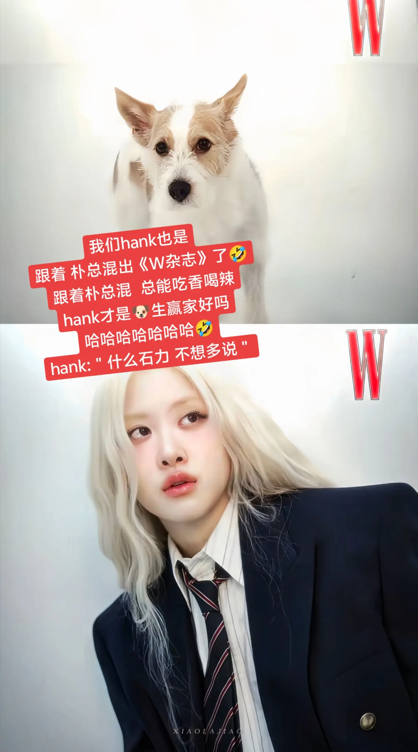我宣布: hank是~铁皇族!🐶。