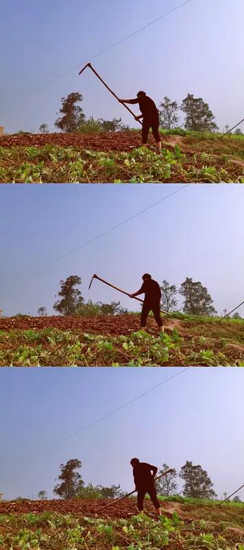 农民当然重要！他们可是撑起14亿中国人“饭碗”的关键角色，是土地的守护神，国家发