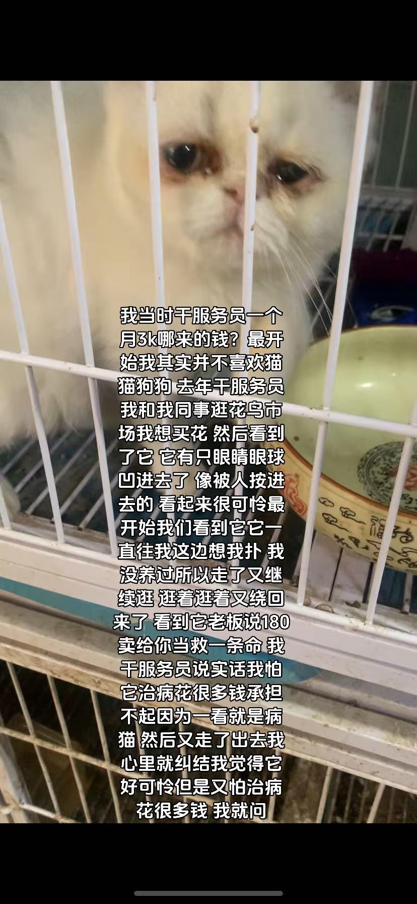 回复   我没钱劝大家没有稳定工作不要养，我当时是在上班养的，现在找不...