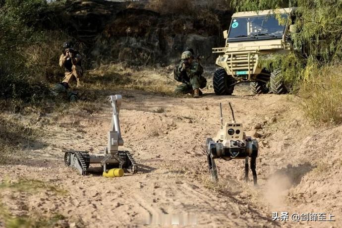 中国巴基斯坦联合反恐演习
估计就连经常和解放军联演的巴铁也想不到
中国军队的装备