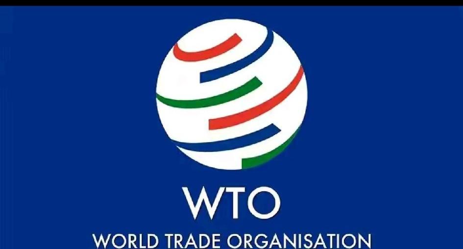 美国认为他最大的失误，让中国加入WTO。中国加入WTO，经济迎来持续高速发展。在