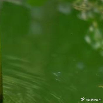 哲思呓语 真正的安全感从来不是别人给的，是你自己一步步走出来的。晚安江南生活晚安