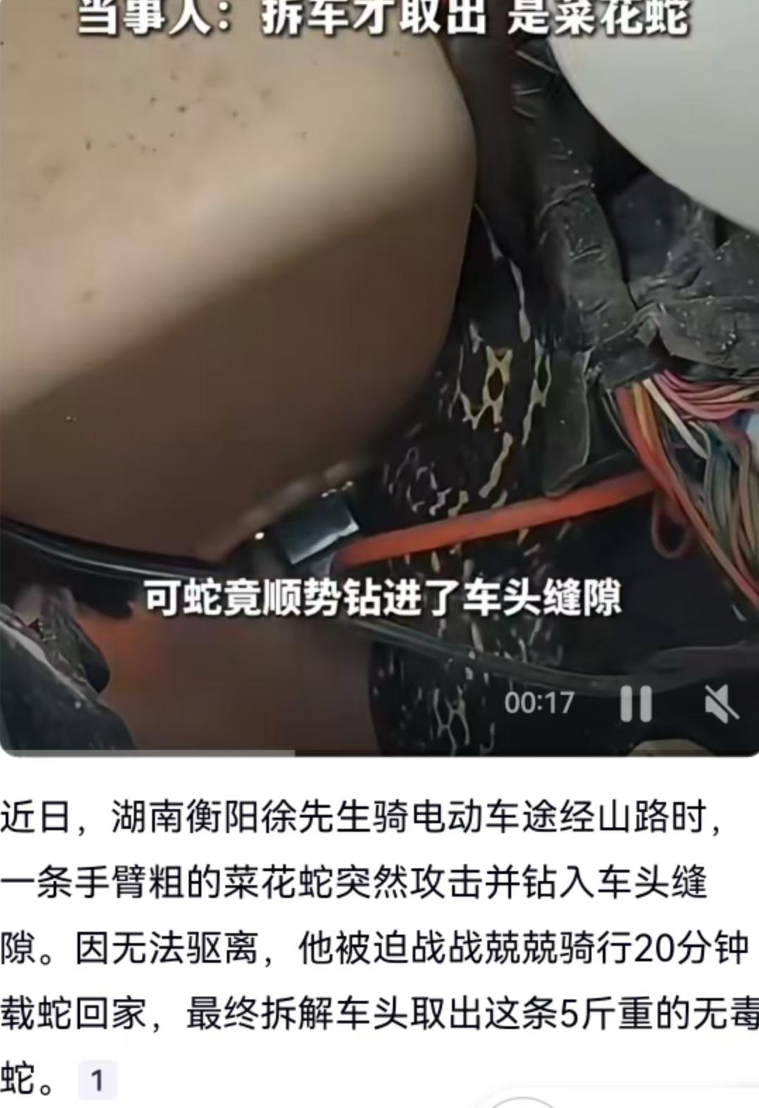 骑车骑出一身冷汗！湖南衡阳徐先生的这趟回家路，注定终身难忘。
就在近日，衡阳的山