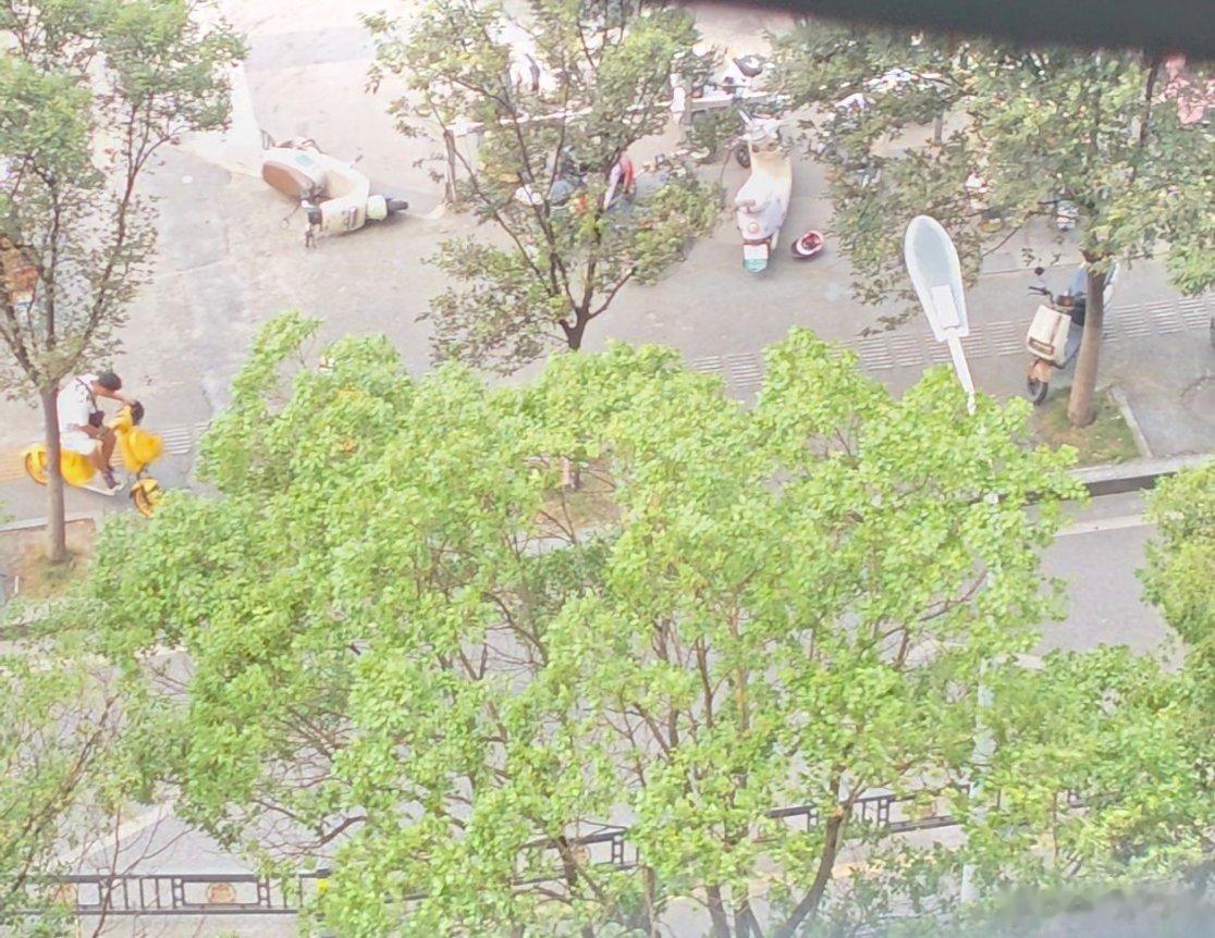 低估了白海豚丝毫没准备呢！！！我这今天也是刮了一天的风，电动车基本上都倒下了……