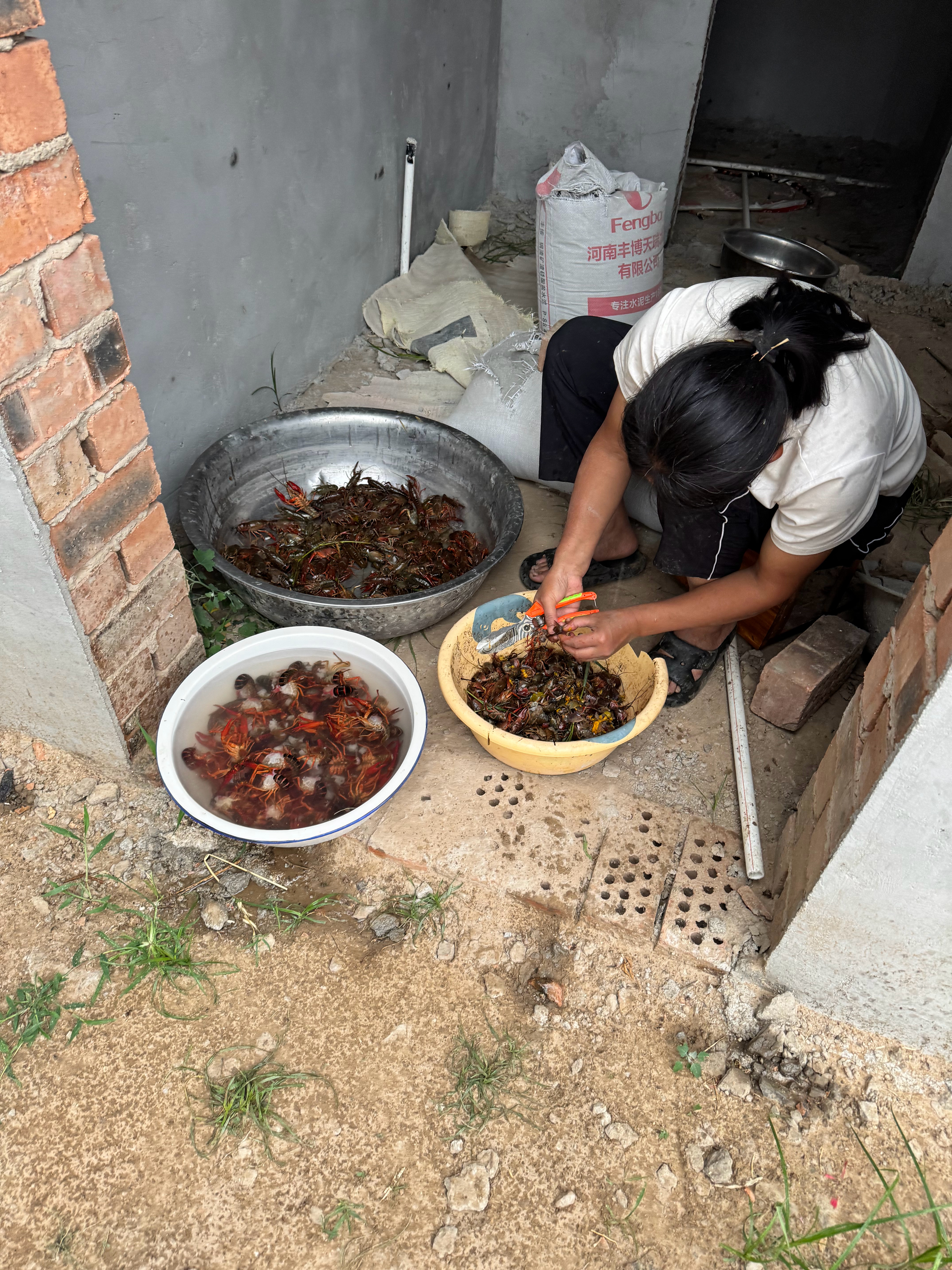 还是佩服嫂子，一个人下河摸这么多龙虾，有点东西的  ​​​