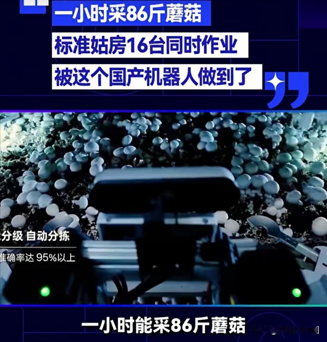 据腾讯科技5月3日消息，启物科技研发的国产蘑菇采摘机器人，每小时可采摘86斤蘑菇