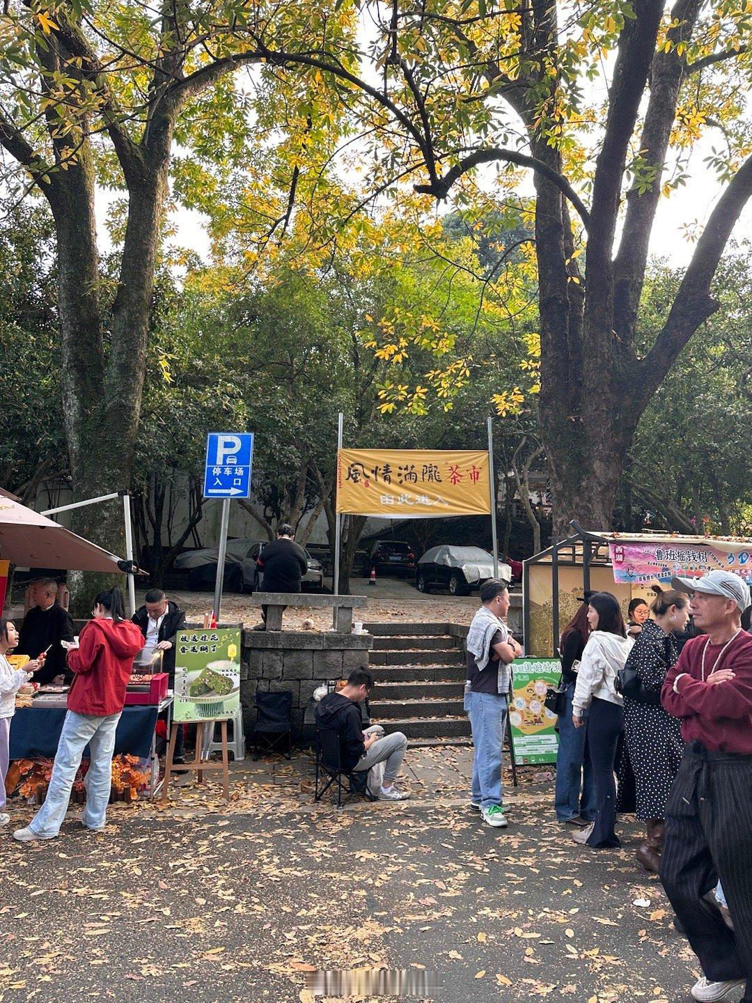 桂花开了 ​​​