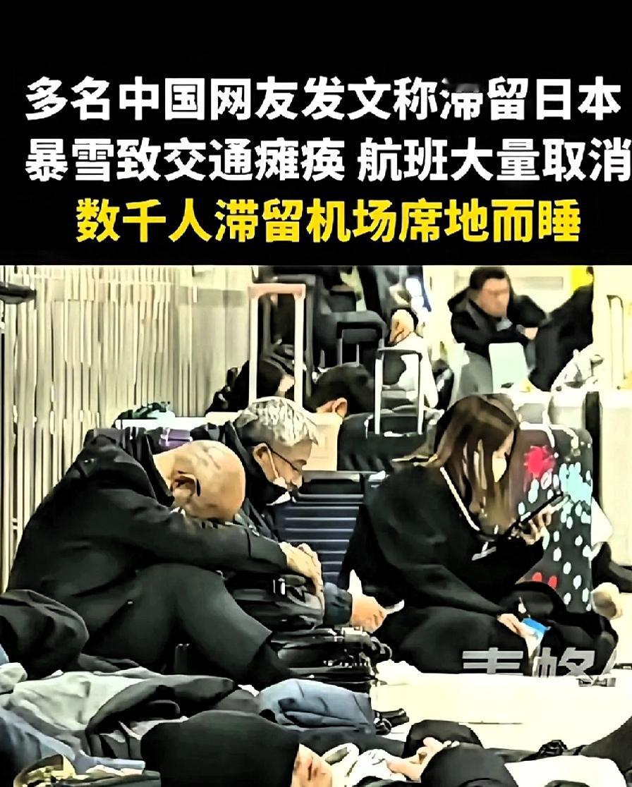 自己选的路，自己走，没毛病
国家己多次提醒，没事不要去小日本，可有些人就是不听，