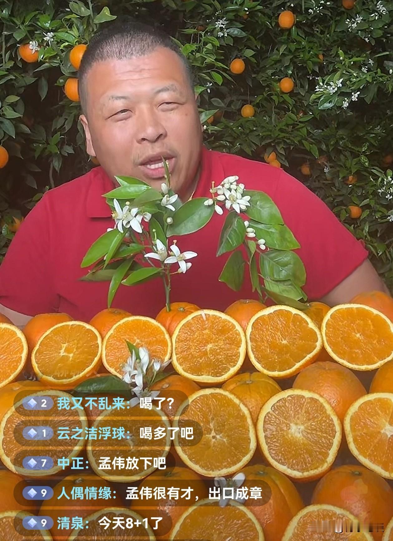 浙江大学甩都甩不掉了！孟伟在4月20日晚上的直播中再出雷人语录：“橙子是为浙江大