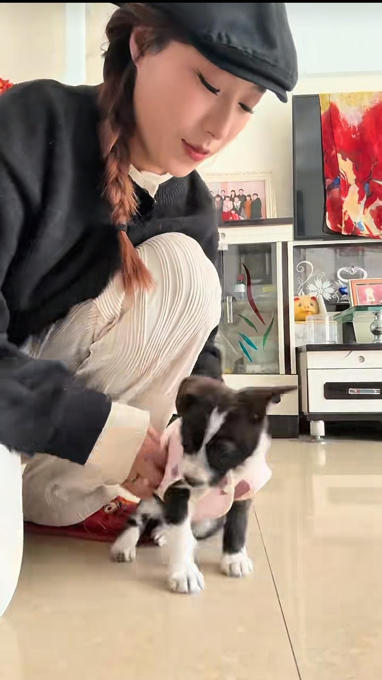 那个常年捡流浪猫狗的姑娘走了，才27岁。而带走她的是一种极其罕见的病菌，
好奇查