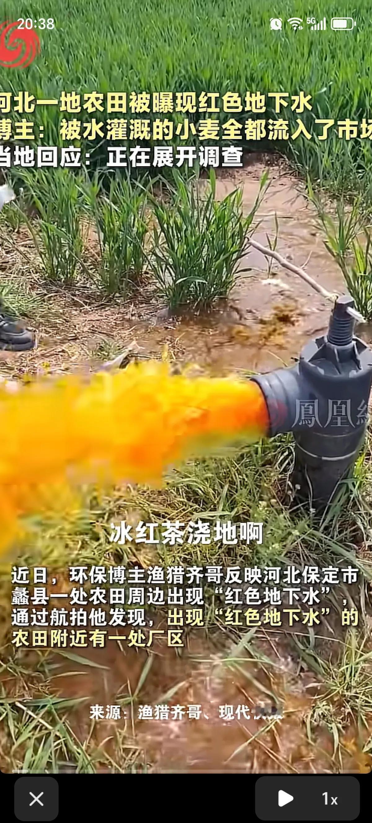 河北的家人们，你们吃到了“冰红茶”浇地的粮食了吗？很好奇长出来的小麦是不是红色的