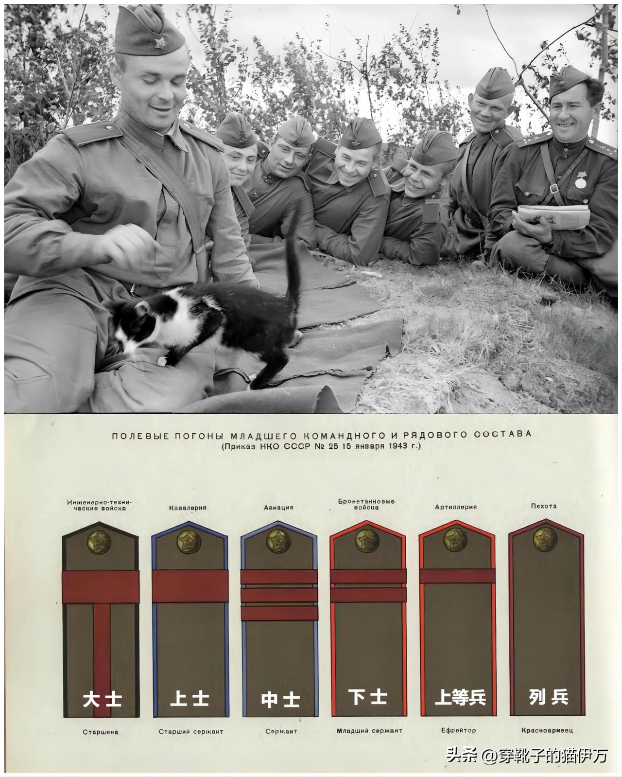 1944年，卫国战争期间，波罗的海第二方面军的一支炮兵部队在战斗间隙休息。红军战