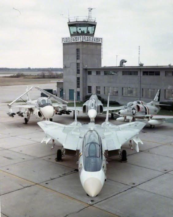 F-14当年绝对是美国海军一哥
不知道它看到如今的美国海军会咋想