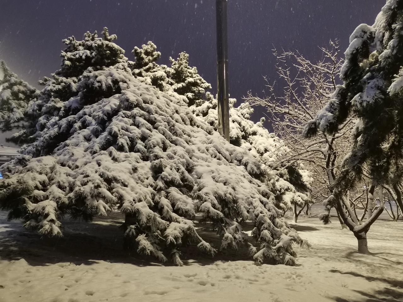 东北现在的天气，洁白、晶莹剔透的雪花给人带来清新和美的享受每一帧都是壁纸 徐明浩