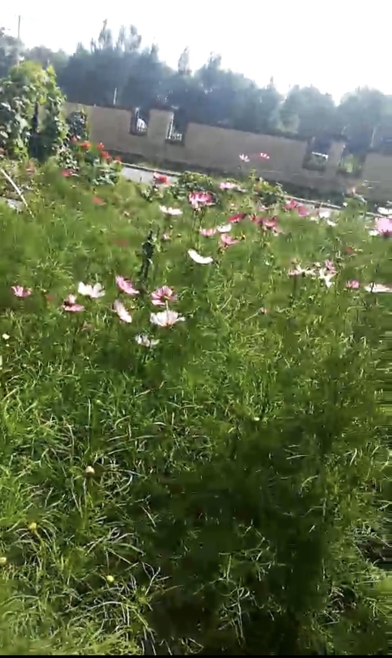 老铁们，姐姐们家人们下午好，刚刚带孩子中考回家，饭店吃口饭看到一个故事。
故事发