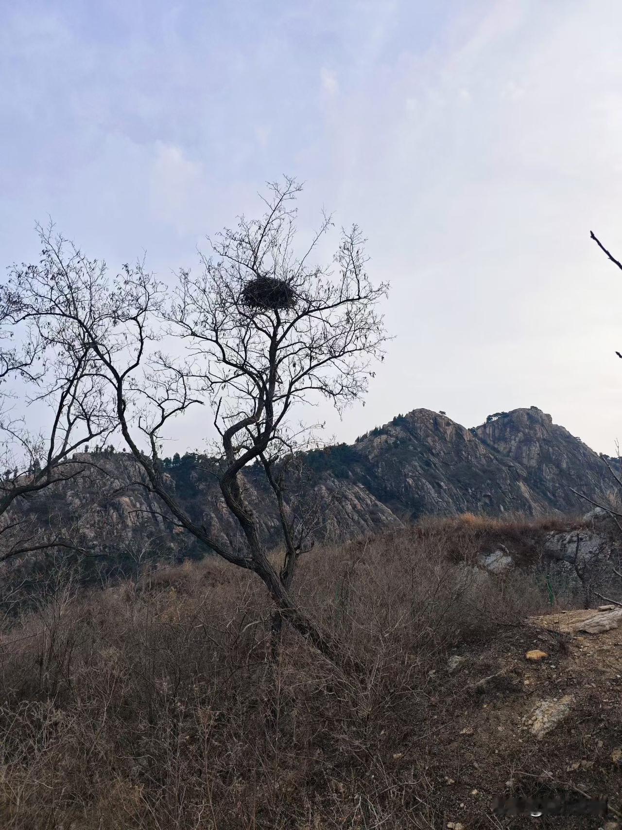 从新闻上看到3月30号以后殡葬政策又实行了改革，人去世后挖坑深埋不留坟头，我觉得