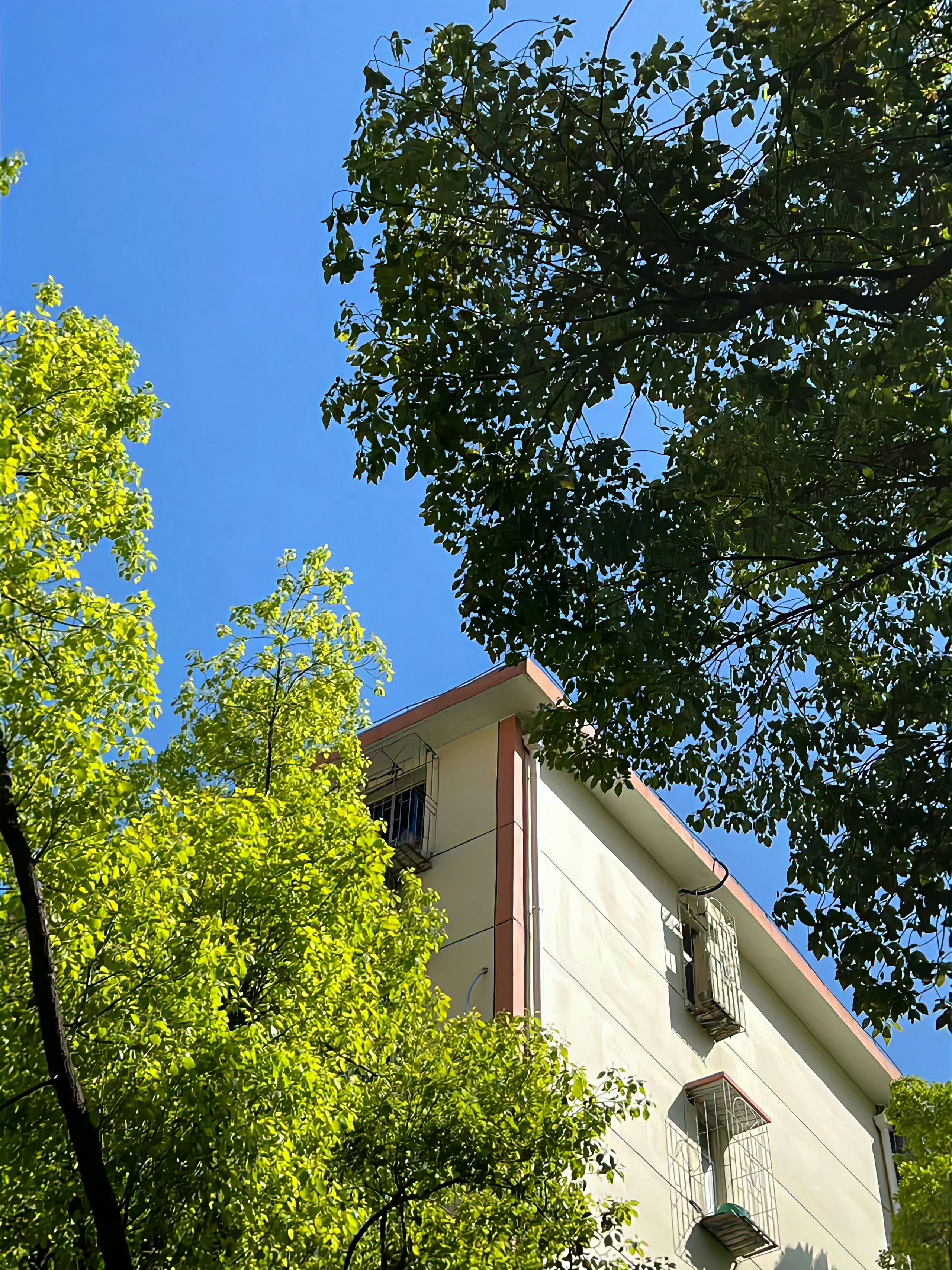 喜欢阳光,喜欢一切让我明媚的人和事物！[太阳] ​​​