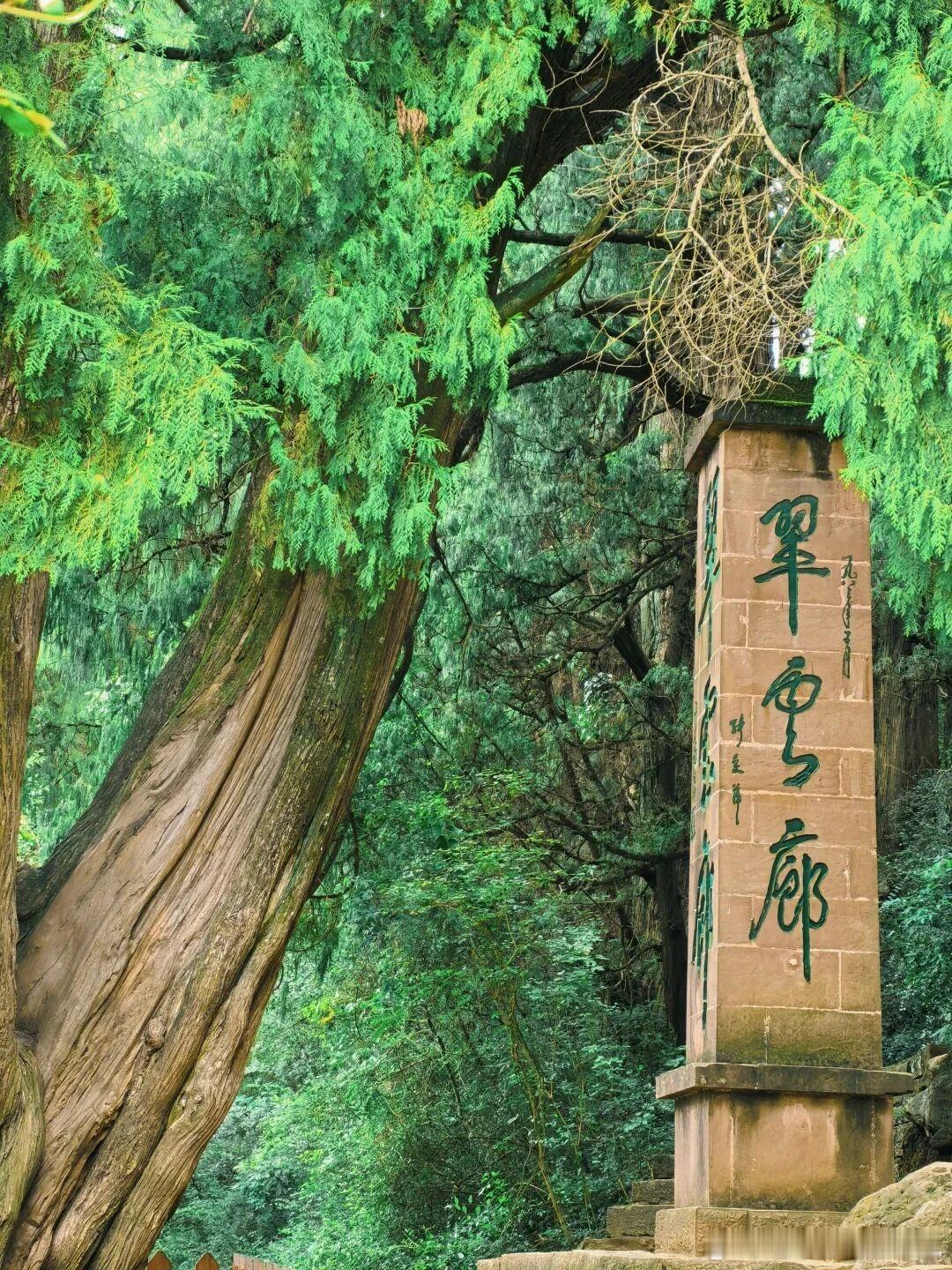 📍广元剑门关｜背《蜀道难》免门票！读懂李白笔下的雄关都说蜀道难于上青天，但来剑