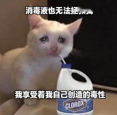 真服了我自己，找一份文件找了半天找不着，气的我拿塔罗牌占卜，哐哐这顿分析，又是方