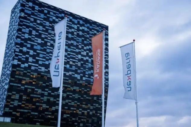 荷兰“认输”归还安世还不够，必须严惩荷兰安世高层！荷兰彻底体验了一次什么叫“背刺