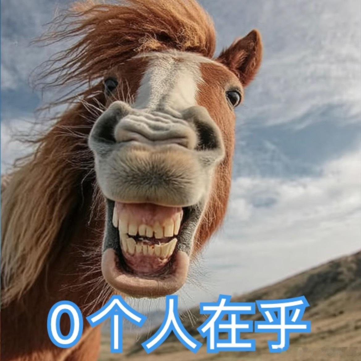 🦠觉得把🐴牵走了一群人无法赶路。但是！他们忘了这群人中有辆法拉利