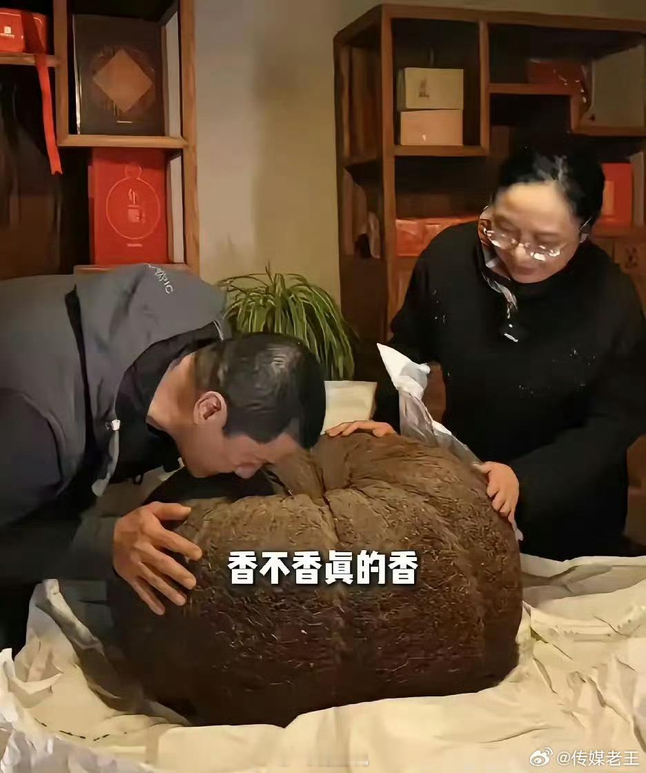 转自网友：难怪！明星李亚鹏会破产！他花280万重金，买80公斤茶王（百年老茶），