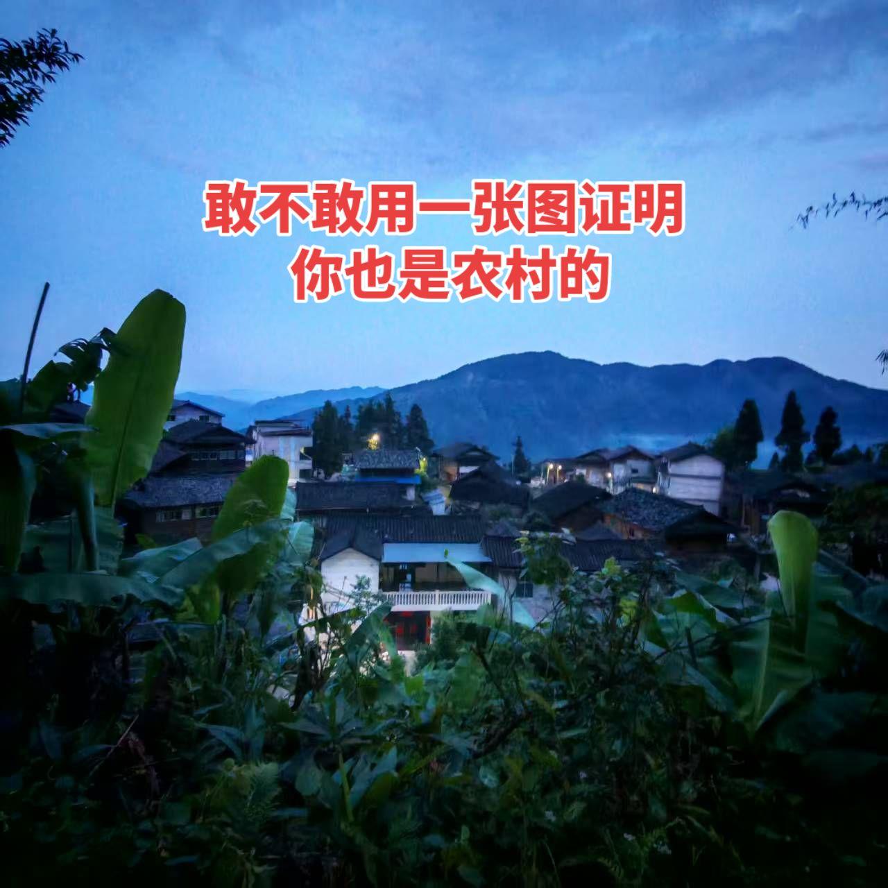 在农村，除了钱不好挣，剩下的都是好的～乡村暮色 回乡创业 我的乡村生活 治愈系风