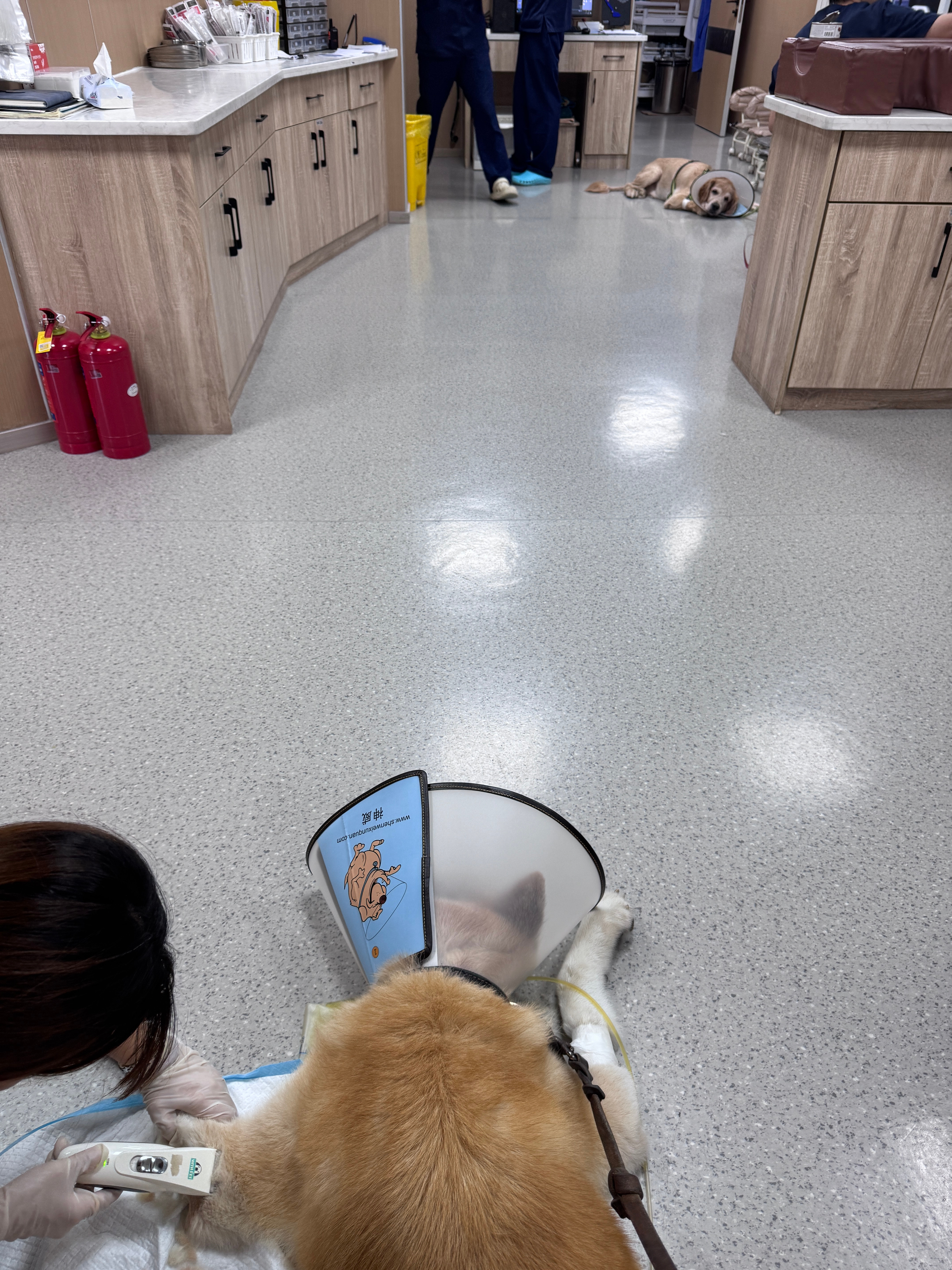 两个好战分子你看看我 我看看你 谁也爬不起来去打架了 ​​​