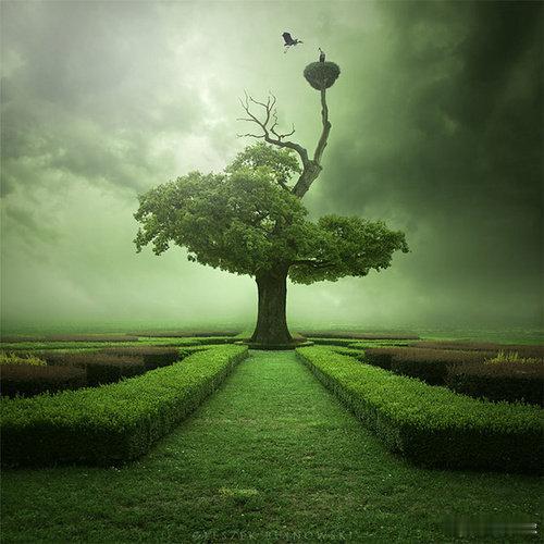 罗塞尔看着那条“热烈欢迎罗塞尔主席率巴萨代表团来访鸟巢”的横幅面露不悦“你们知道