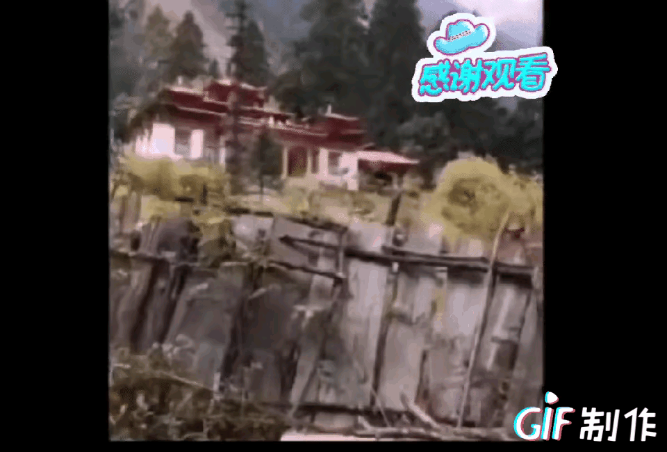 王相军生前在西藏无人区密林深处就拍到过一个面积不小的寺庙，说这么隐蔽的地方几乎就