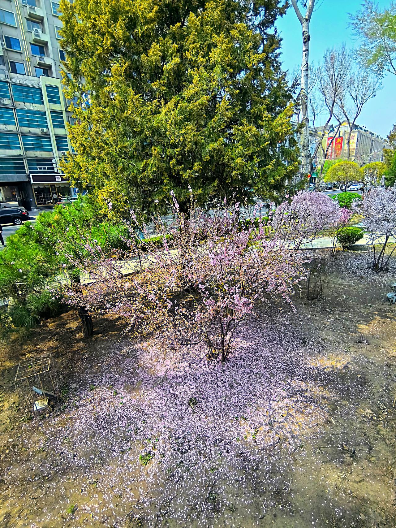 特特玩的太狠了，波斯猫表示，特特连续发布多条假消息，导致原油市场波动，特特又疯狂