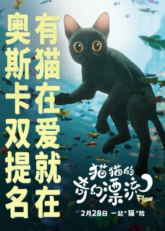 《猫猫的奇幻漂流》催眠指数9分。如果睡眠不好，强烈推荐此片，可以去影城好好睡一觉