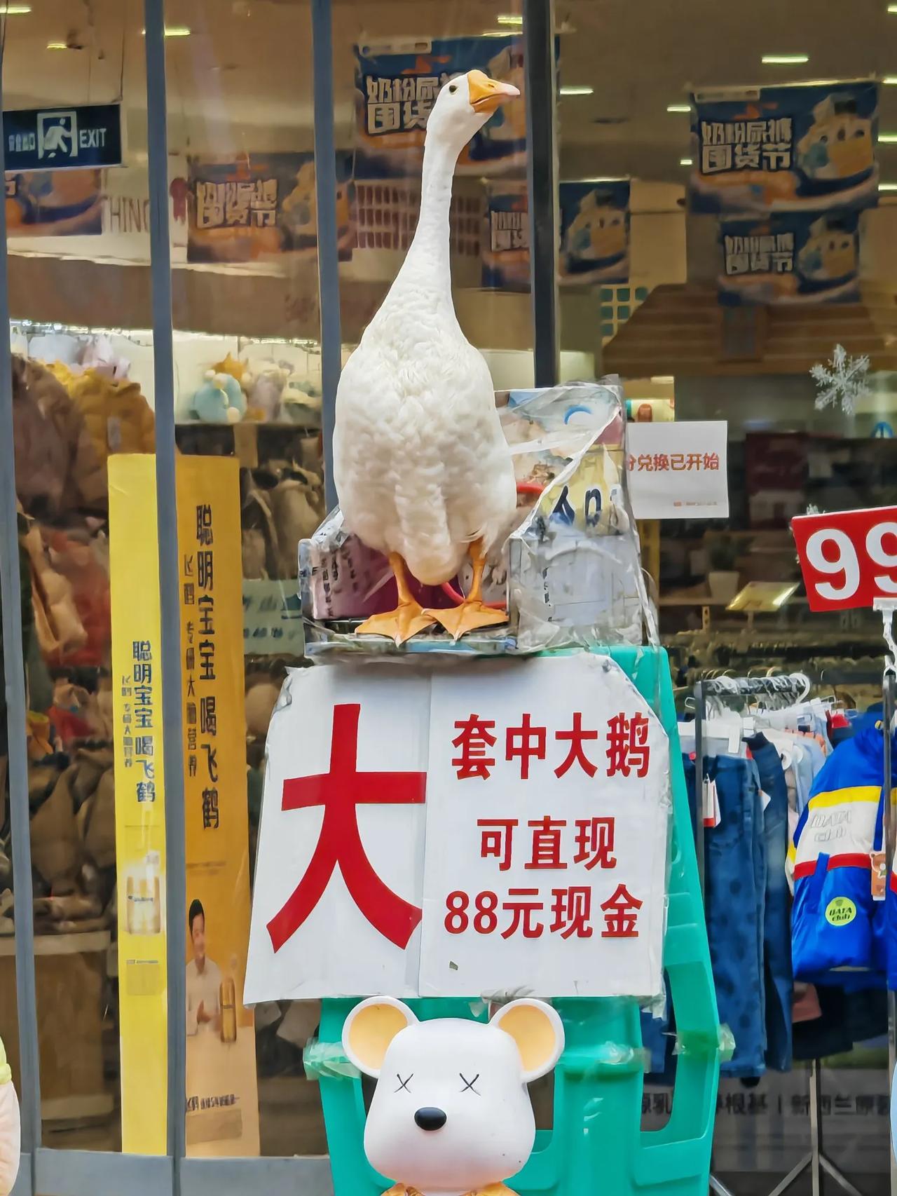 圈套，大奖，鹅买嘎