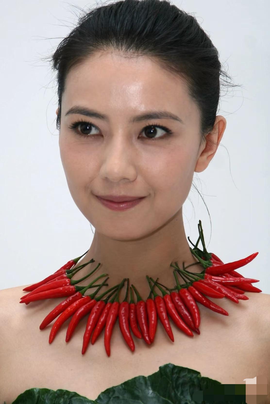 高圆圆百看不厌