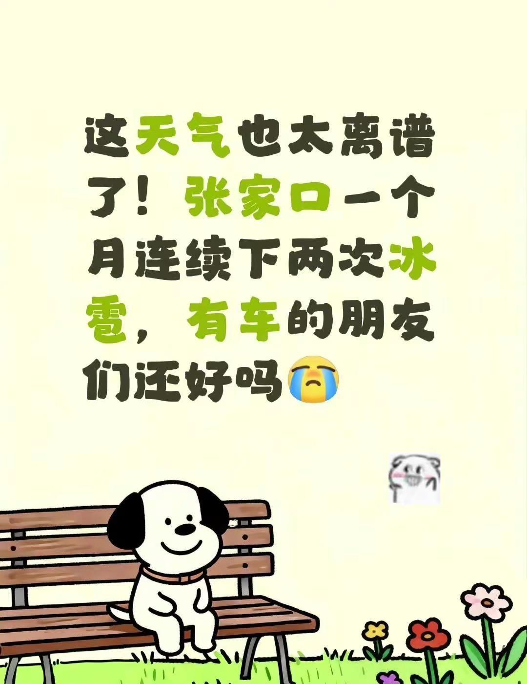 这天气真的离大谱！张家口这一个月居然连续下了两次冰雹，简直是躲得了初一躲不了十五
