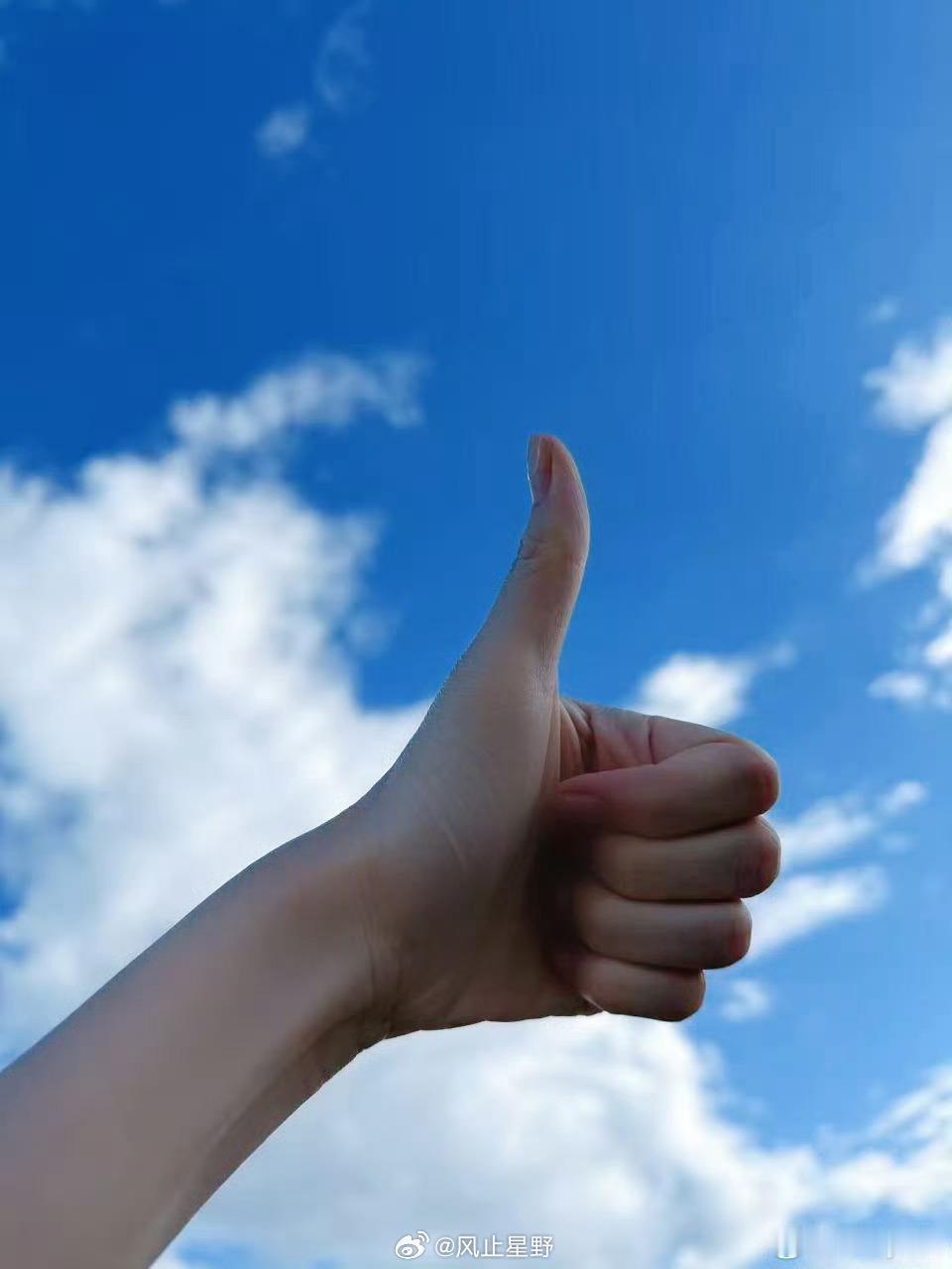 下一站：上岸 