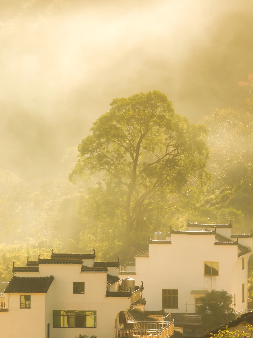 CNN评为一生必去的地方，去完就想原地养老