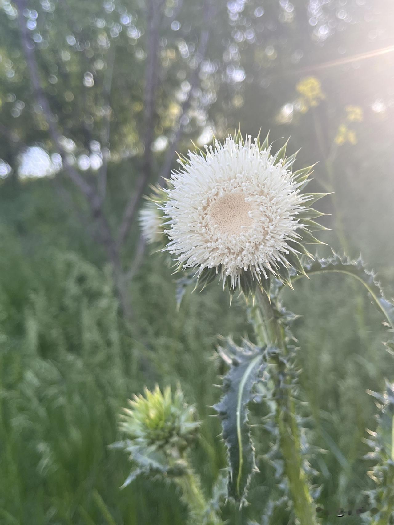 我认为理科。

不喜欢枯燥的历史，所以选择了理科，大人们常说"没有本事的人选文科