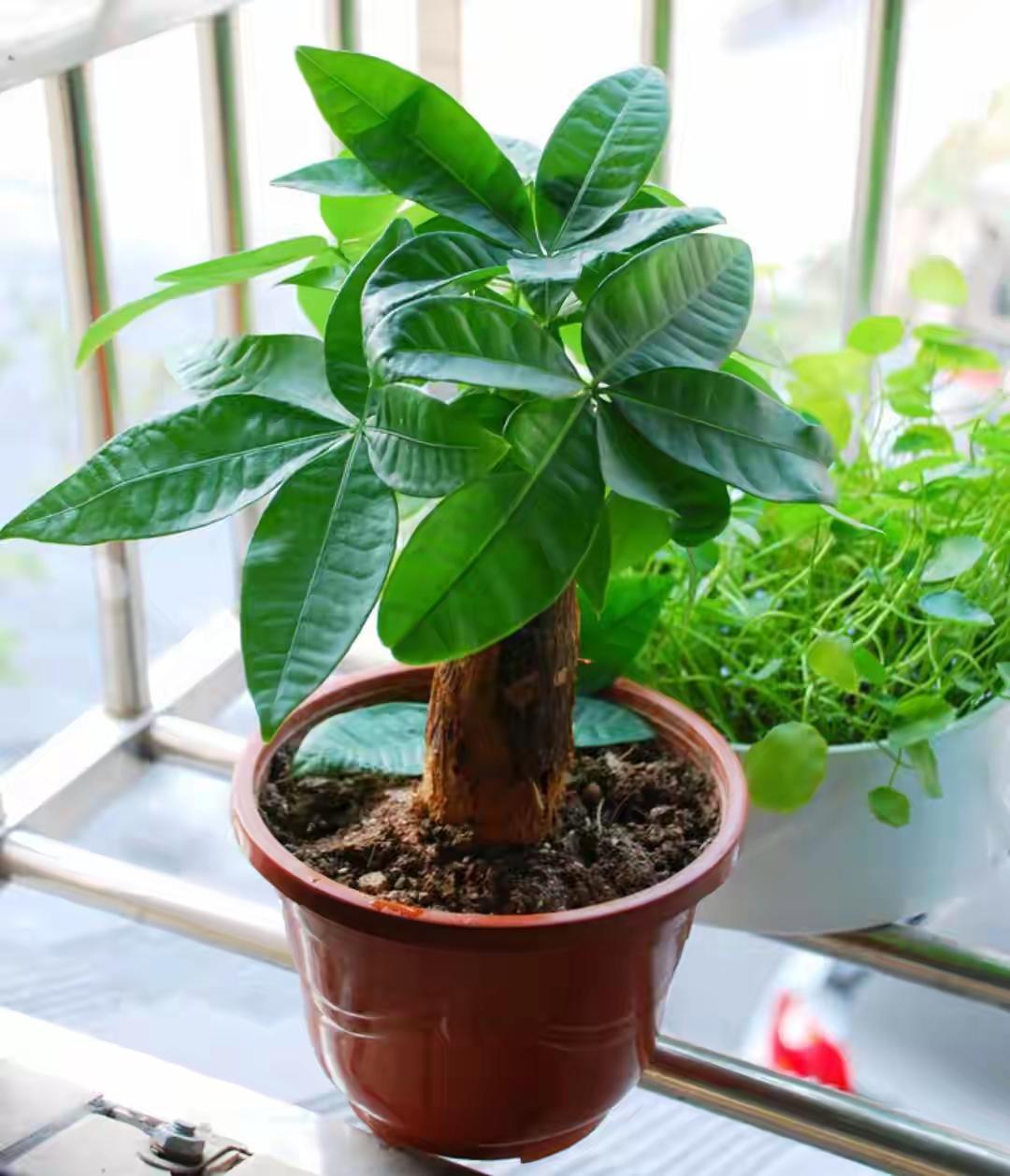 不过，这一年也不全是苦涩。每一次与团队共同攻克难题后的欢呼，每一个客户认可时的微