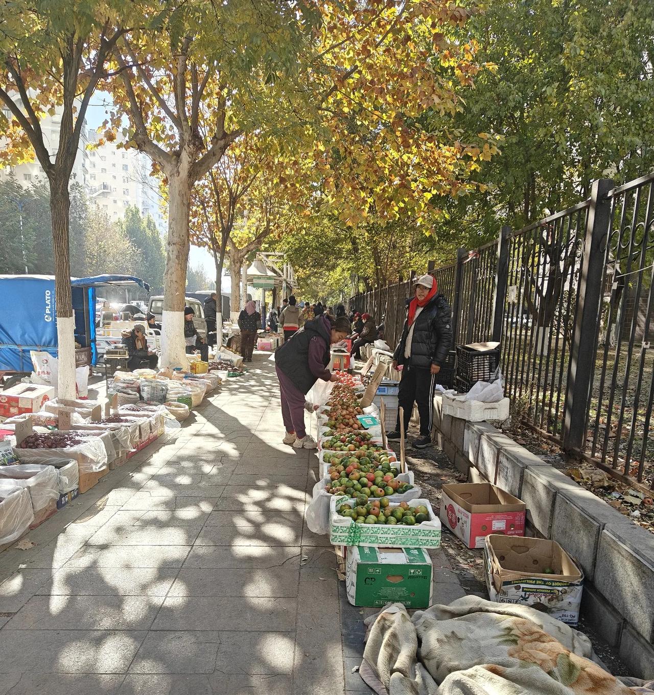 早上起来，用大白菜煮了碗面条。吃完了沏了杯茶，打算把这段日子，身体里的酒精排泄一