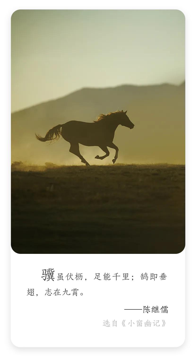 老骥伏枥，志在千里。
人无论你多大年纪都要有自己的目标和方向。
为了实现目标可能