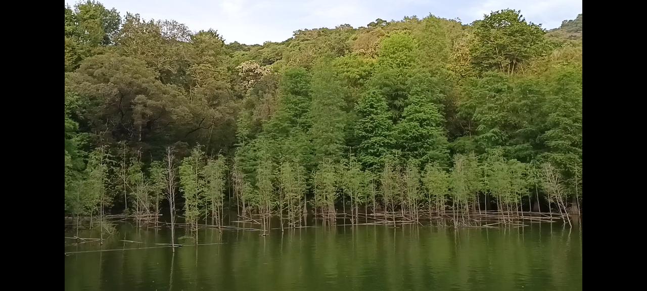 广州本地人逛吃西华路
今日下午去爬白云山，从东门上山下到磨刀坑水库，又一次欣赏了