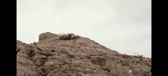 王鹤棣行云流水的打戏  王鹤棣在新剧里面的打戏已经完全把大家的心都给稳稳拿捏，那