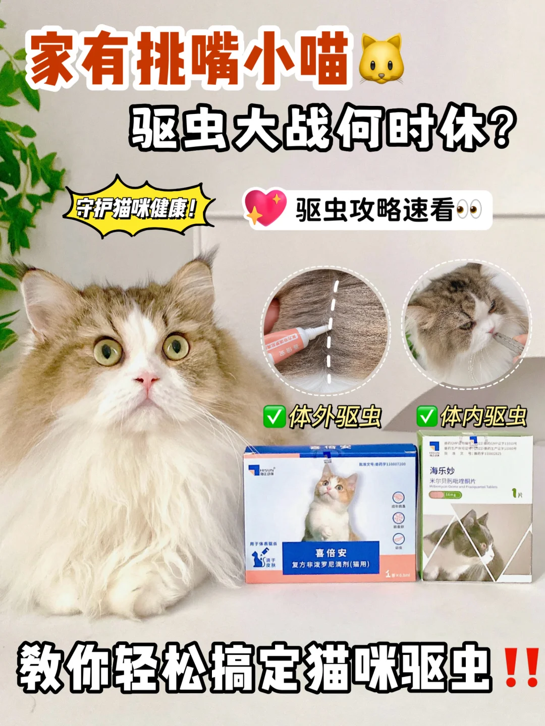 家有挑嘴小喵，驱虫大战何时休？